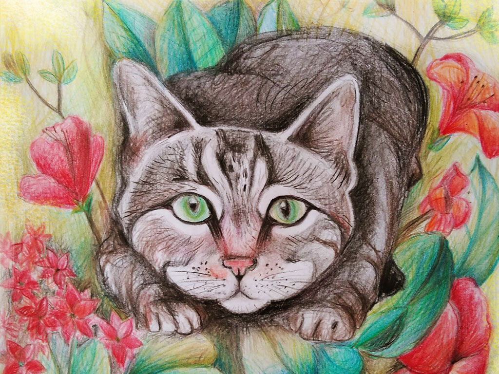  &quot;Cat on spring&quot;